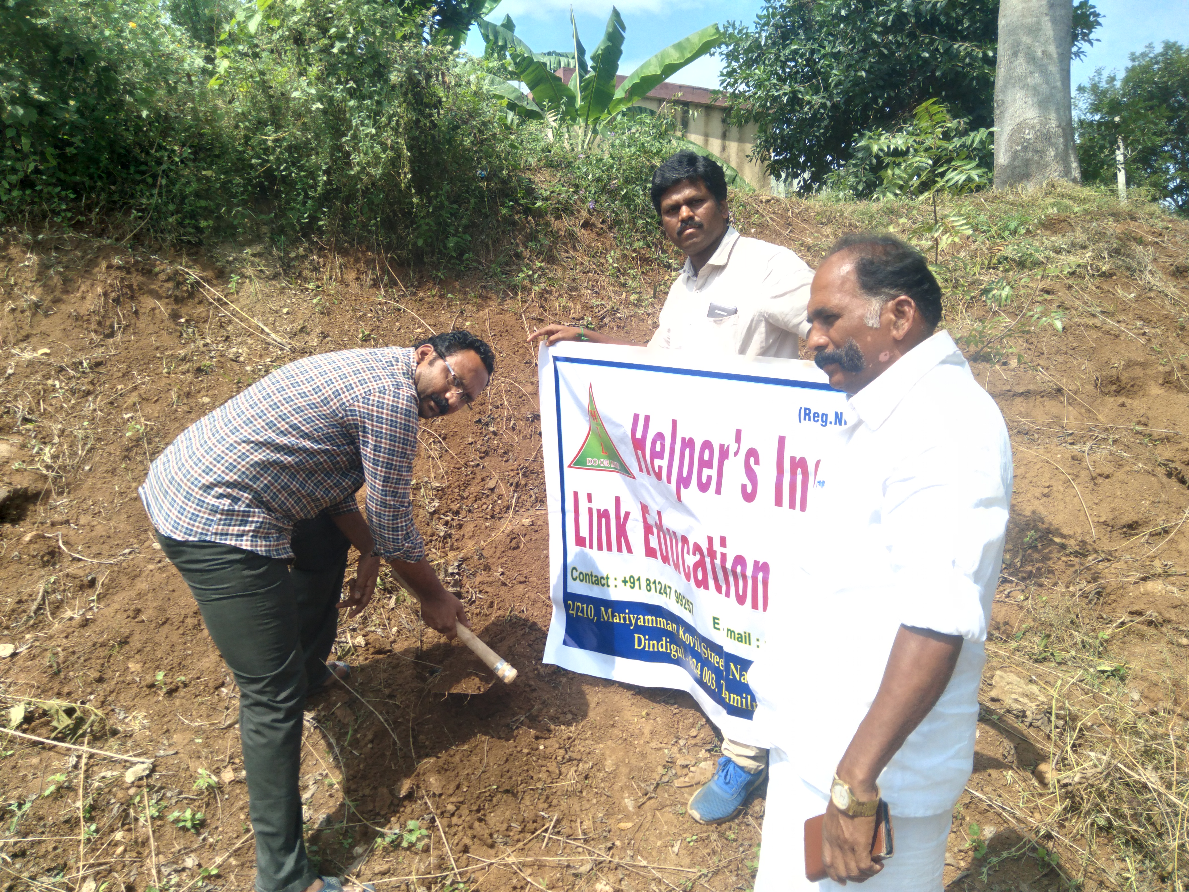 Palm Tree Plantation