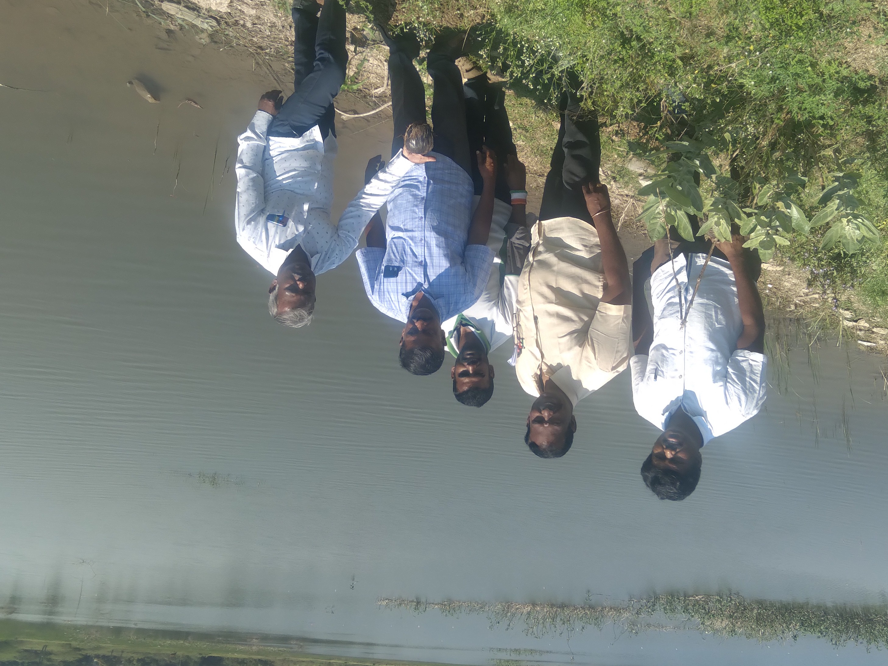 Tree Planting Program