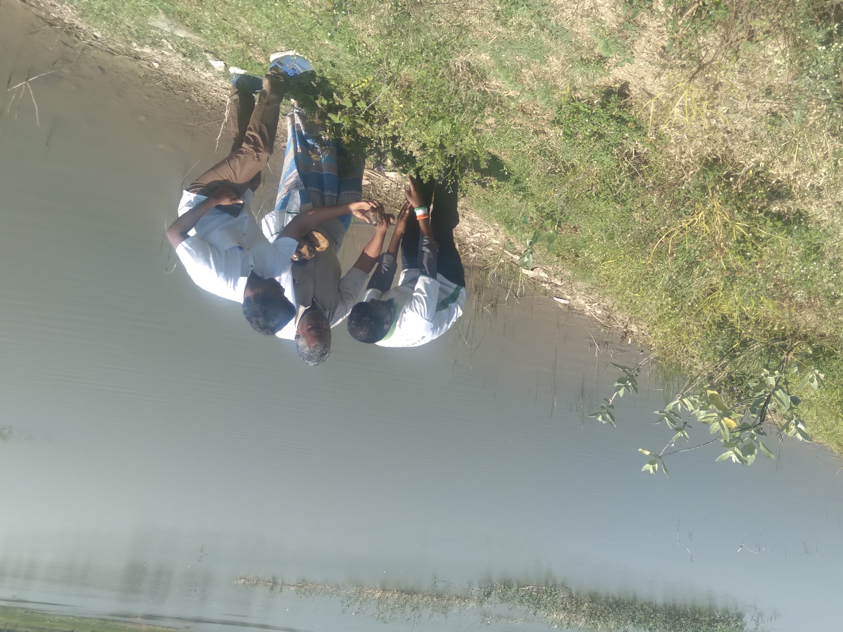 Tree Planting Program